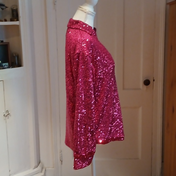 Rachel Zoe Long Sleeved Sequinned Blouse - Picture 8 of 11